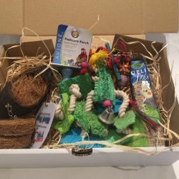 parrot box Subscription Box Australia