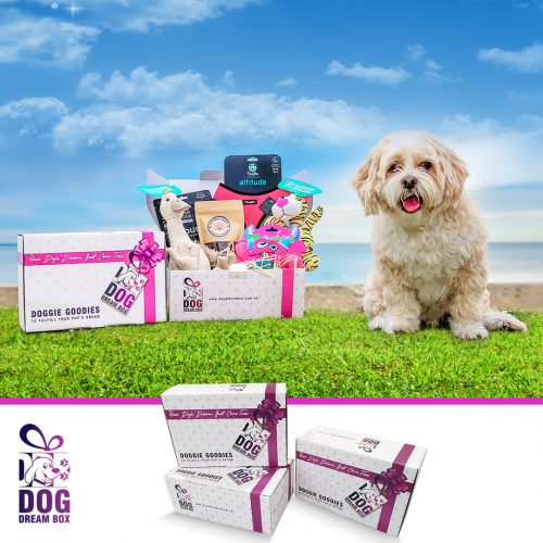 Dog Toys, Treats and Accessories