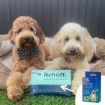 Itchoff for Aussie Dogs